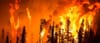 Who "owns" wildfire?